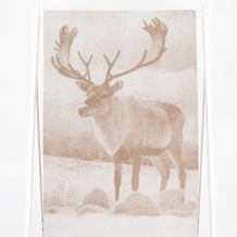 6с102.511ж2 Фото-олень(лен3) Полотенце махровое 67х150см