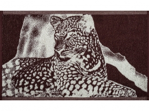 6с104.411ж1 Инстинкт (шоколад) Полотенце махровое 67х40см