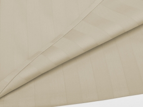 3010-БЧ Наволочка сатин 70*70 рис. 14-4501 бежевый 2*2