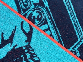 6с104.411ж1 Гонки(3-бир-т.син) Полотенце махровое 67х40см