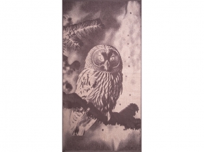 6с102.413ж1 Фото-сова(т.с.мальв1) Полотенце махровое 81х160см