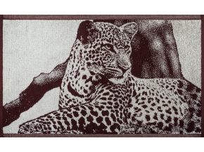 6с104.411ж1 Инстинкт (шоколад) Полотенце махровое 67х40см