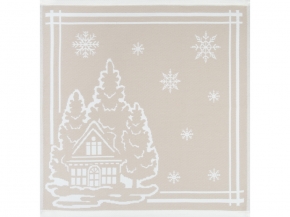 9с25.110ж1 Домик2(ДТЭ лён) Салфетка 50х50см