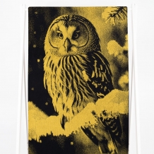 6с102.413ж1 Фото-сова(т.желтый) Полотенце махровое 81х160см