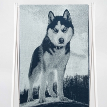 6с102.411ж1 Хаски 2 (темно-синий) Полотенце махровое 67х150см