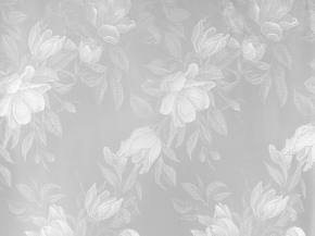 25С6733-Г50 ШТОРА 97 белый 4 м*2.75 м рис. н159БНСб