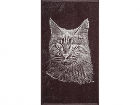 6с103.412ж1 Фото Мейнкун (шоколад) Полотенце махровое 50х90см