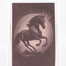 6с102.411ж1 Галоп(т.с.мальв1) Полотенце махровое 67х150см