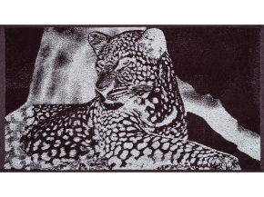 6с103.412ж1 Инстинкт (шоколад) Полотенце махровое 50х90см