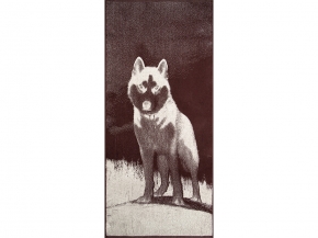 6с102.411ж1 Хаски (шоколад) Полотенце махровое 67х150см