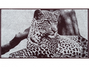 6с103.412ж1 Инстинкт (шоколад) Полотенце махровое 50х90см