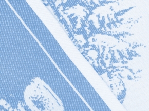 9с25.110ж1 Поздравление(ДТЭ регата) Салфетка 50х50см