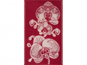 6с104.411ж1 Орхидея (бордо) Полотенце махровое 67х40см