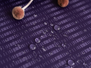 Жкр150-29/193622П Скатерть Диам150