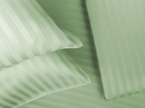 4253/1-БЧ КПБ дуэт сатин рис. 13-0608 цв. олива 2*2