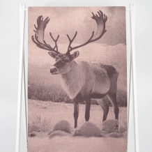 6с102.413ж1 Фото-олень(т.с.мальв1) Полотенце махровое 81х160см
