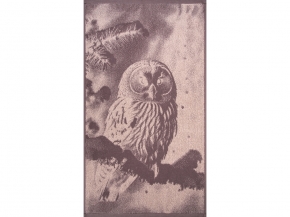 6с103.412ж1 Фото-сова(т.с.мальв1) Полотенце махровое 50х90см