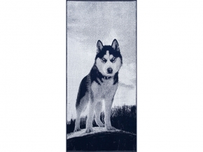 6с102.411ж1 Хаски на скале (т.синий) Полотенце махровое 67х150см