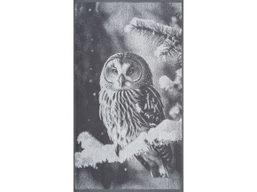 6с103.412ж1 Фото-сова(графит5) Полотенце махровое 50х90см