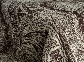 3с109.413ж1 Индия(шоколад) Плед 208х220 см