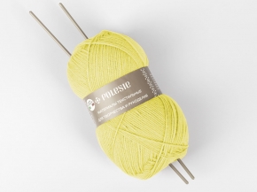 1С8165-Д43 Пряжа "Фаворит NEW" Шампанское