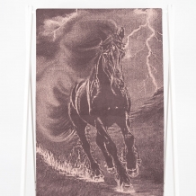 6с102.411ж1 Огненная лошадь(т.с.мальв1) Полотенце махровое 67х150см