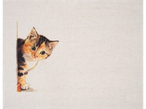 24С177-ШР+К/3/п.р. 49*60 Полотенце "Котята 1" цв. 1 рис. 1413