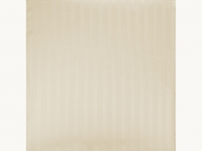 3010-БЧ Наволочка 70*70 сатин рис. 14-1209 цв. бежевый 2*2