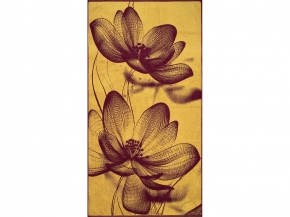 6с102.413ж1 Танец вдвоем(кр.дерево1) Полотенце махровое 81х160см