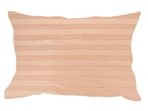 3249-БЧ Наволочка 50*70 сатин рис. 14-1209 цв. бежевый 2*2