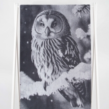 6с102.411ж1 Фото-сова (графит5) Полотенце махровое 67х150см