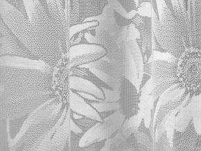 2.50м Е642РН/250 12С6511-Г50 ПОЛОТНО ГАРДИННОЕ белый