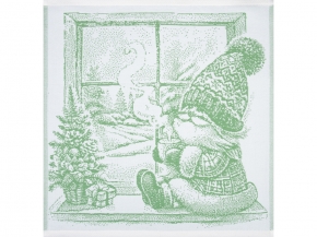 9с25.110ж1 В окошке(ДТЭ травка) Салфетка 50х50см