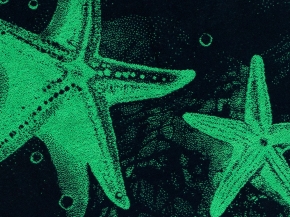 6с102.413ж1 Прилив (темно-синий7) Полотенце махровое 81х160см