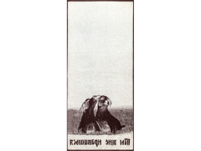 6с102.411ж1 Ты мне нравишься (шоколад) Полотенце махровое 67х150см