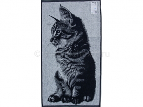 6с102.411ж1 Фото Котяша (т.синий) Полотенце махровое 67х150см