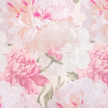 Бязь набивная Антуанетта  рис. 13306/1, 220см