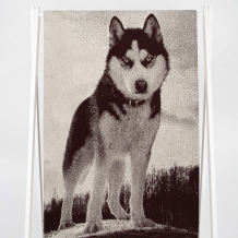 6с102.411ж1 Хаски (шоколад) Полотенце махровое 67х150см