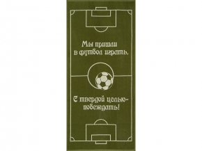 6с102.411ж1 Футбол (болотный) Полотенце махровое 67х150см