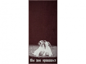 6с102.411ж1 Ты мне нравишься (шоколад) Полотенце махровое 67х150см