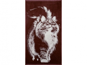 6с103.412ж1 Привет (шоколад) Полотенце махровое 50х90см