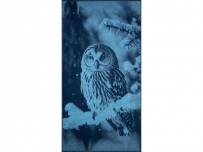 6с102.413ж1 Фото-сова(джинс) Полотенце махровое 81х160см