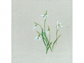 26С11-ШР/039/п.р. Наволочка декоративная 40*40 "Галантус" цв. 1 рис. 1379