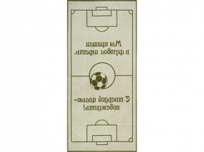 6с102.411ж1 Футбол (болотный) Полотенце махровое 67х150см