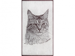 6с103.412ж1 Фото Мейнкун (шоколад) Полотенце махровое 50х90см