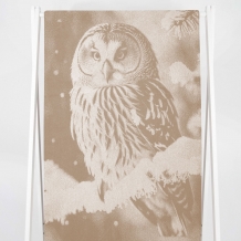 6с102.511ж2 Фото-сова (лен3) Полотенце махровое 67х150см