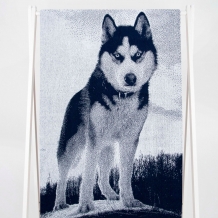 6с102.411ж1 Хаски на скале (т.синий) Полотенце махровое 67х150см