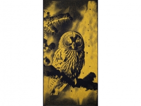 6с102.413ж1 Фото-сова(т.желтый) Полотенце махровое 81х160см