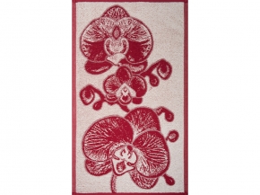 6с104.411ж1 Орхидея (бордо) Полотенце махровое 67х40см