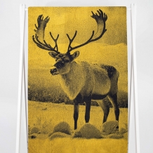 6с102.413ж1 Фото-олень(т.желтый) Полотенце махровое 81х160см